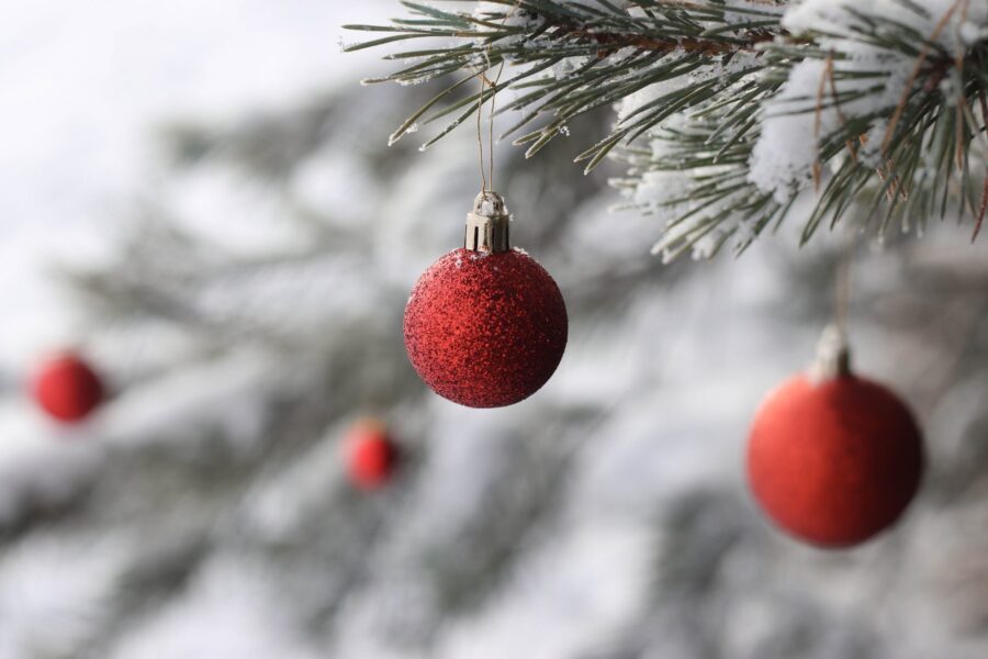 selective-focus-red-baubles-1689577