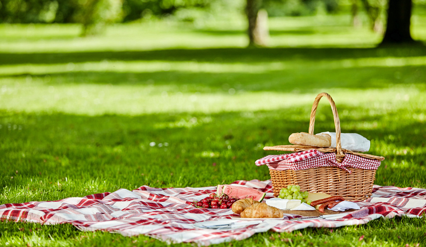 Delicious picnic spread with fresh fruit, bread, spicy sausage and cheese spread out on a red and white checkered cloth in a lush spring park