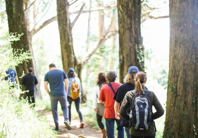 kitera-dent-jWv1ILisuSc-unsplash