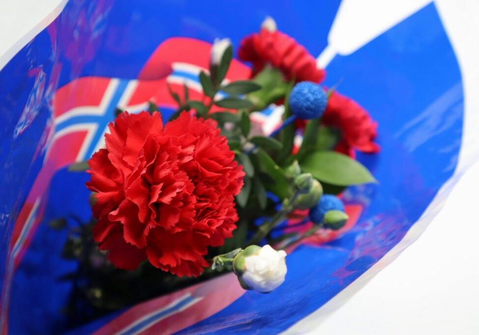 pexels-siljeao-264851155-35590556